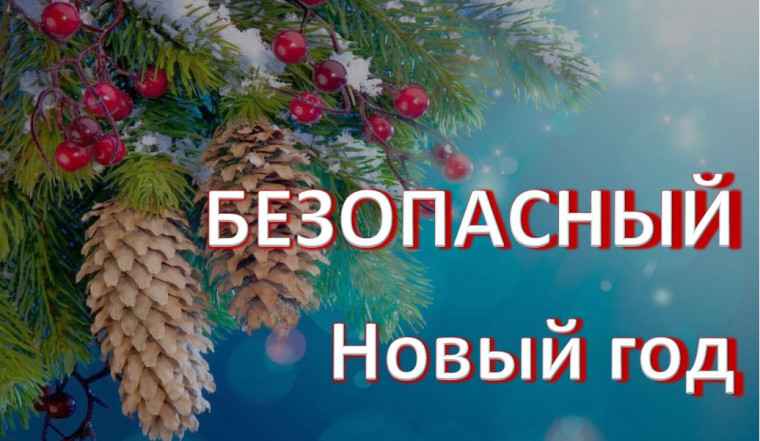 Правила пожарной безопасности при проведении Новогодних праздников.