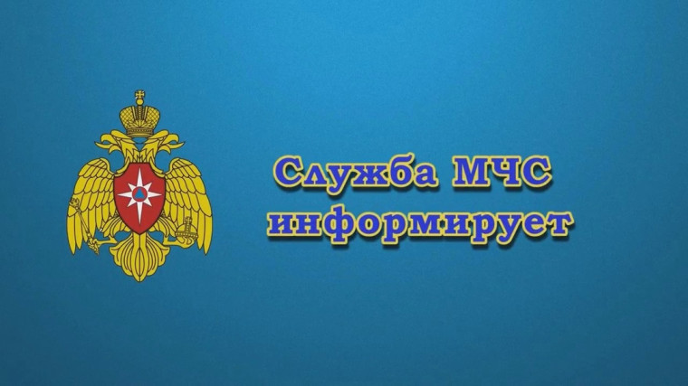 Главного управления МЧС России по Алтайскому краю.