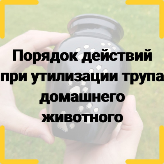 За период 2022-2024 гг. на территории Алтайского края зарегистрированы 32 неблагополучных пунктов по бешенству животных, в текущем году зарегистрирован 1 неблагополучный пункт по бешенству среди домашних животных (собаки) на территории Алейского района. За период 2022-2024 гг. на территории Алтайского края зарегистрированы 32 неблагополучных пунктов по бешенству животных, в текущем году зарегистрирован 1 неблагополучный пункт по бешенству среди домашних животных (собаки) на территории Алейского района.